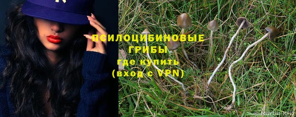 ешки Балахна