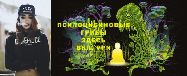 ешки Балахна