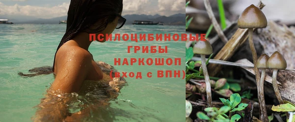 ешки Балахна