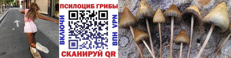 купить наркоту  Балей  Галлюциногенные грибы прущие грибы 